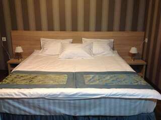 Отель Edelweiss Hotel Гудаури Стандартный двухместный номер с 1 кроватью-2